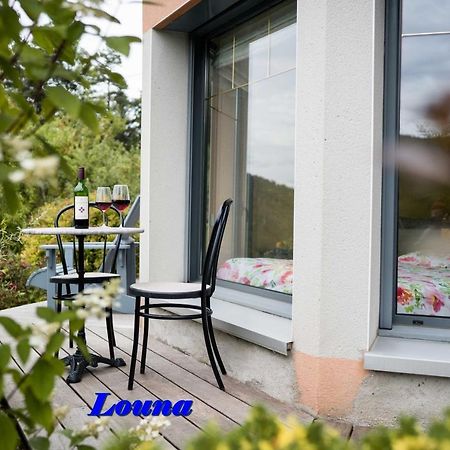 זונרופט-לונז'מר Appartements 5 Personnes Maya Et Louna מראה חיצוני תמונה